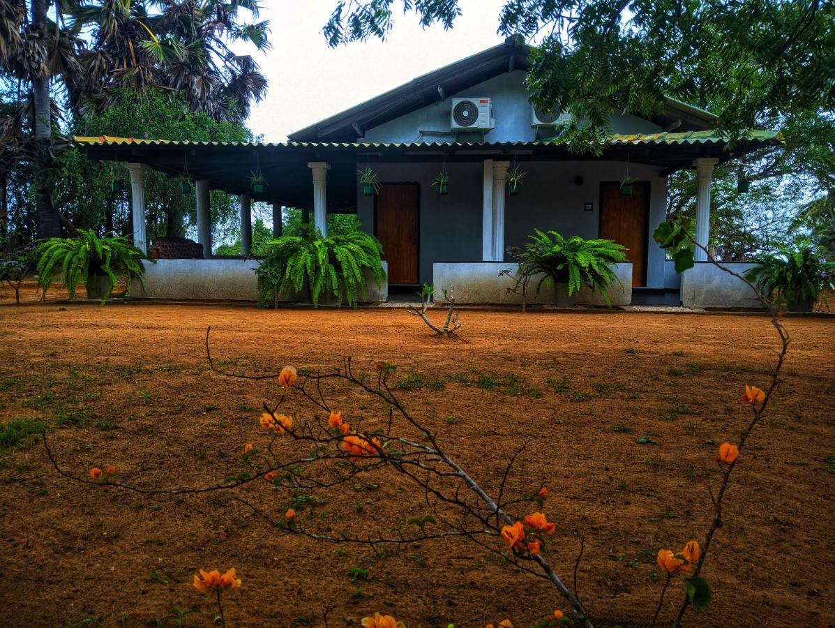 Beach Bungalow Yala Kirinda  Dış mekan fotoğraf