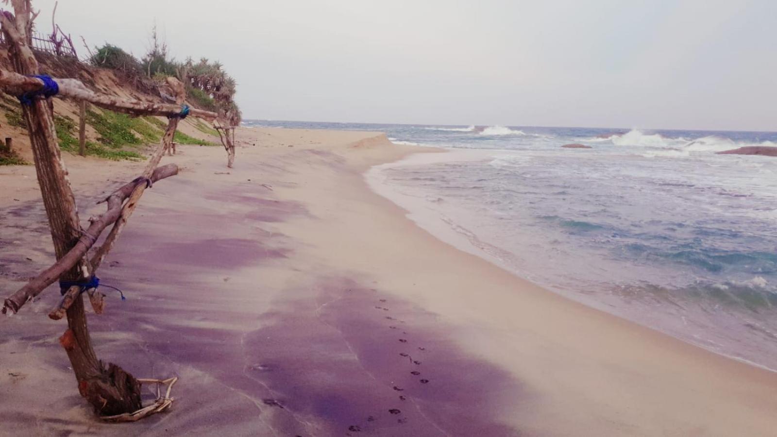 Beach Bungalow Yala Kirinda  Dış mekan fotoğraf